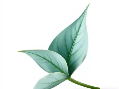 Elegant Leaf model pack Low-poly 3D model