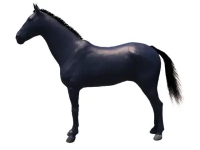 Black Horse    for real time and offline rendering  Low-poly 3D model