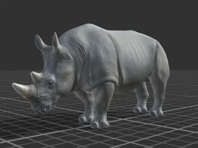 African Rhino Low-poly 3D model