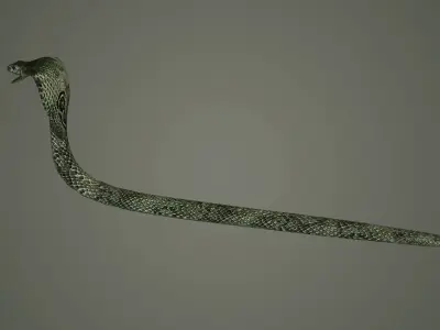 snake reptile snakes serpent python anaconda mamba cobra 3D model