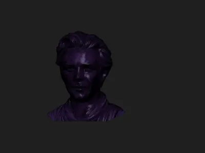 Mickey Rourke 3D print model