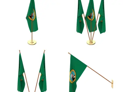 Washington Flag Pack 3D model