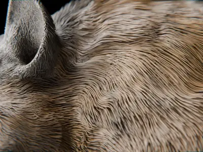 Realistic Wild Boar High-Quality 3D Model Low-poly 3D model