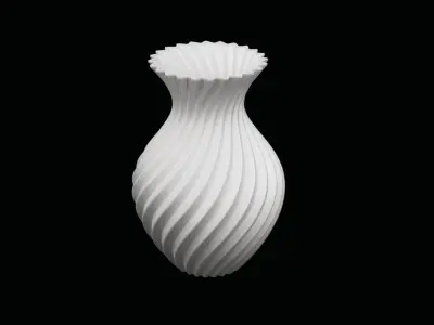 Spiral Flower Vase  3D print model