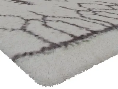 Rug Set 1249 3D model
