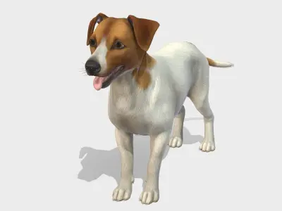 Dog - Jack Russell Terrier Low-poly 3D model