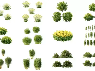 Excellent collection of plants Bush  400 Different Models