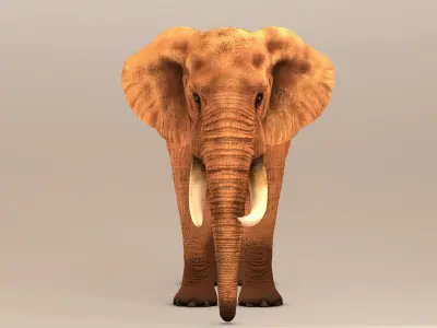 Elephant with tusks 3D model