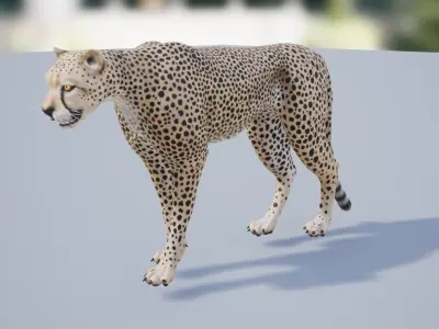 Pack of wild african cats Low-poly 3D model