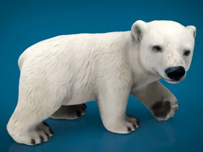 POLAR BEAR BABE Low-poly 3D model