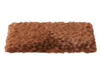 Small Rectangular Fluffy Rug 3D model