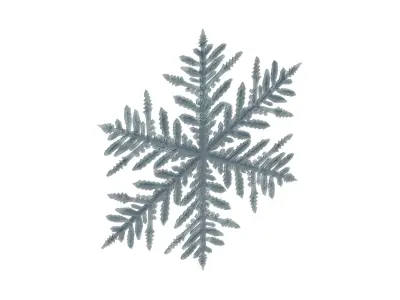 snowflake 3D model