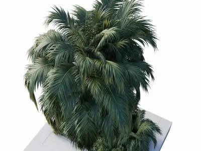 Concrete stair garden with palm trees shrubs and grass set 112 3D model