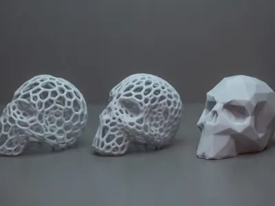 Lowpoly and Patterned Skulls 3D print model