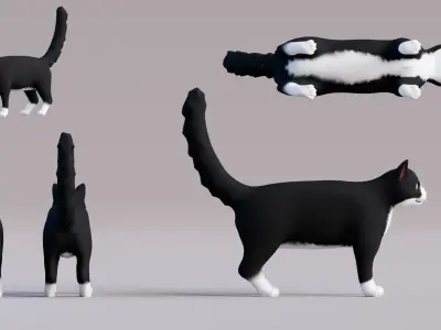Low Poly - Stylized cats - Bicolor Cat Low-poly 3D model