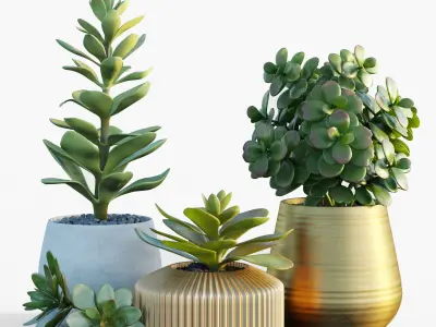 Collection plants 3D model 02