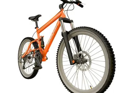 Off Road Mountain Bike Evo 3D model
