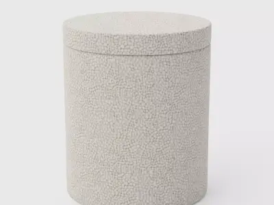 Shaw Shagreen Ivory Canister 3D model