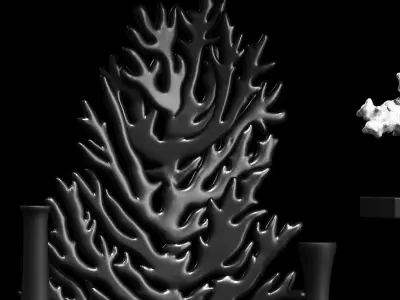 A decorative set of corals and vases consisting of 14 items 3D model