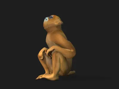 Monkey-A1 3D model