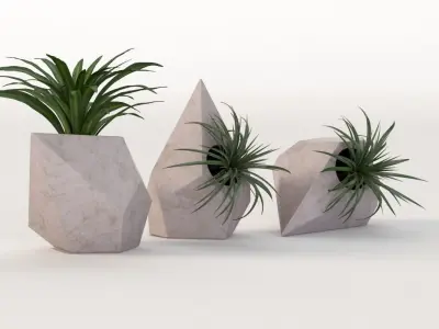 Trio Geometric Planter Center Piece Table Decoration 3D model