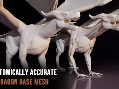 Anatomically accurate Dragon Base Mesh 3D model