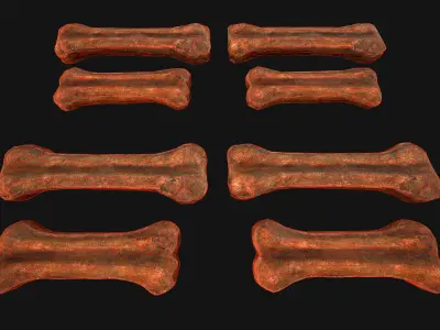 Zoo Toys for Pet Cats and Dogs to Chew Gnawing Pack Low-poly 3D model