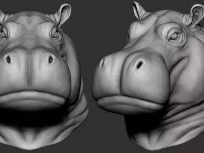 Hippo Skull Low-poly 3D model