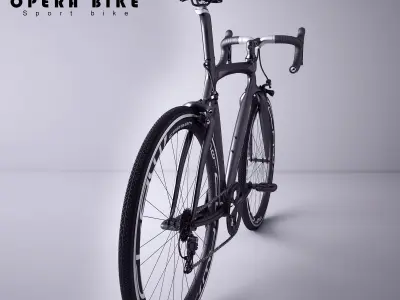 Opera Bicycle 3D model