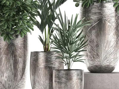 Collection of decorative plants in luxury flowerpots 793 3D model