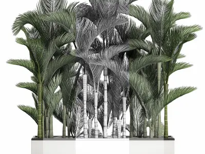 Palm in a white pot for the interior 671 3D model