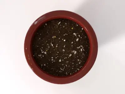 Flower Pot With Saucer and Soil 3D model