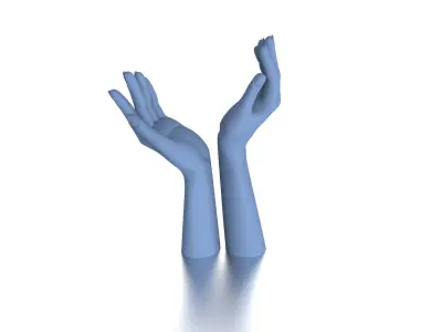 Raised Hands 0185 V1 3dm Stl Mb 3D print model
