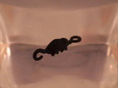 Chameleon for bracelet 3D model