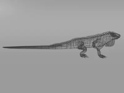 Iguana Low-poly 3D model