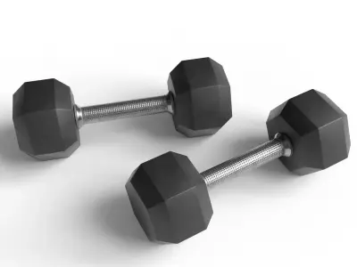 Dumbbells 3D model purchase