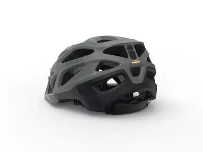 ALPINA Unisex-Adult helmet 3D model