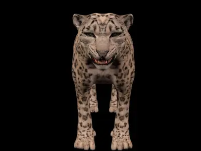 snowleopard snow leopard Low-poly 3D model
