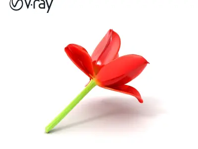 Tulipa Red Flower Vibrant Petals model pack Low-poly 3D model