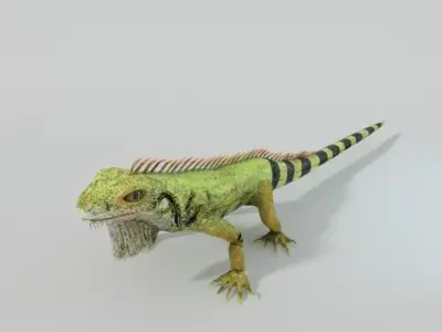 Iguana Low-poly 3D model