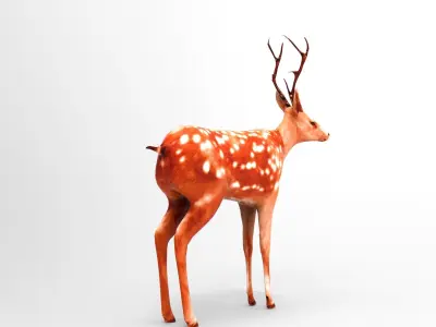 Deer Rigged Low-poly 3D model