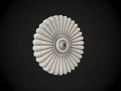 Rosette flower 3D model