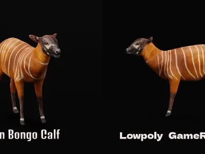 Bongo Antelope Calf Low-poly 3D model
