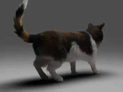 Fur Calico Cat Rigged 01 Low-poly 3D model