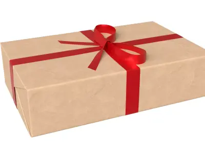 Wrapped Gift Box PBR 11 3D model