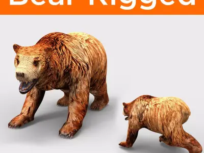 Red Bear Rigged 3D Models game Low-poly 3D model