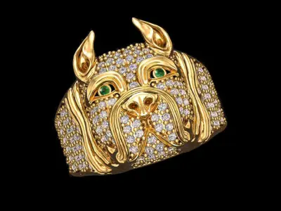 Pitbull Man Ring   3D print model