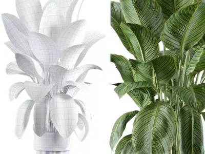 indoor plant 315 3D model