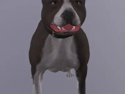 Dog Rigged Low-poly 3D model