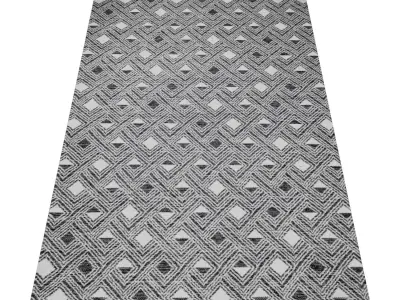 Rug Set 336 3D model